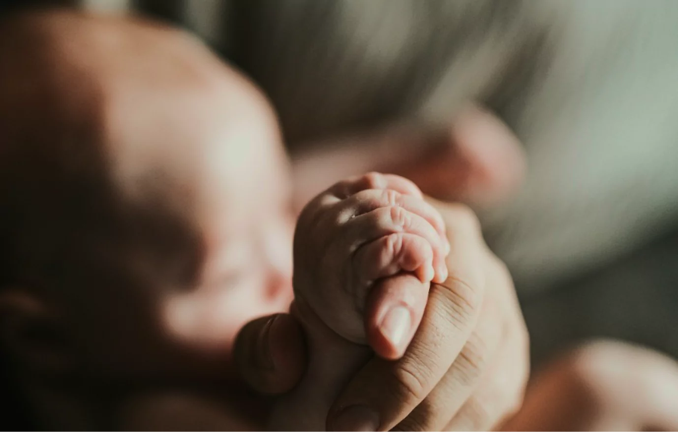 main-products-health-65bc05027fc82